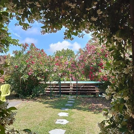 Maillane Cosy En Provenceヴィラ エクステリア 写真